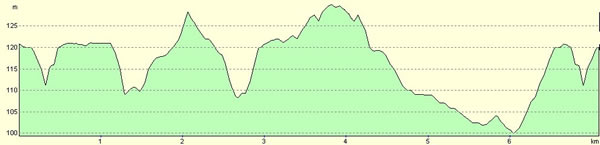 race elevation